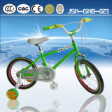 King Cycle Kids Indoor Bike for Girl From China Manufacturer