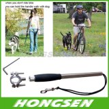 2015 New Dog Bicycle Leash/Ride Safety with Your Dog