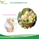 Best Quality Chinese Medicinal Herb Garcinia Cambogia Extract