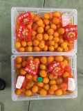 Fresh Nanfeng Baby Mandarin Orange