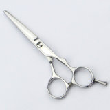 (040-S) Hairdressing Cutting Scissors Salon Hot Scissor