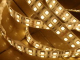 CE EMC LVD RoHS Two Years Warranty, Double Row SMD5050 LED Flexible Strip Light (WDSMD5050-120)
