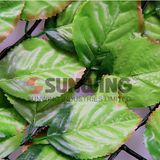 Plastic Artificial Leaf Fence Boxwood Hedge