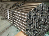 Best Price for Steel Pipe/Tube