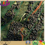 Olive Collecting Net/ Olive Harvest Net / Neto De Oliva