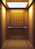 CE Approved Passgener Elevator