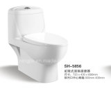 Ceramic One Piece Water Closet/Bathroom One Piece Toilet Toilet (NJ-5856)