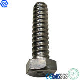 Coil Bolts