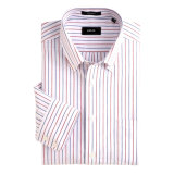 Long Sleeve Stripe Men Shirt of Light Color (SHM 06)