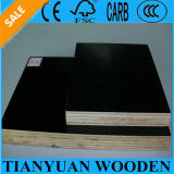 Construction Plywood/Outdoor Use Plywood/Concrete Shuttering Plywood