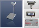 Platform Scale