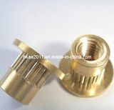 Brass Knurled Body Blind Rivet Screw Nut, Brass Nut/Bolt