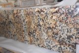China Granite Slab/Countertop