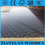 18mm Marine Plywood for Concrete/18mm Waterproof Plywood Board