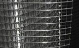 Welded Wire Mesh