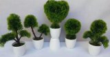 Artificial Plants and Flowers of Small Bonsai Gu-Jys15-R8517#