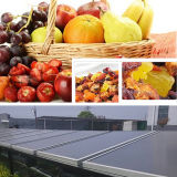 Agriculture Food Solar Drying Machinery Solar Drier Apple Banana Fruit Solar Drying Machine