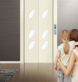 3, 4, 5 Persons Small Cheap Residential Lift Elevator (GRV20)
