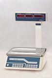 Computing Weighing Scale (ACS-30D)