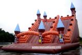 Inflatable Slide (AQ1120)