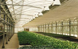 UV Protection Agriculture Net (AN260W)