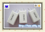 Rgg (RX27-5) Wirewound Resistor for PCB