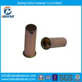 China Manufacturer Small Head Kunrled Body Close End Rivet Nuts