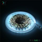 Most Popular Waterproof Flexible RGB LED Strip Light 5050