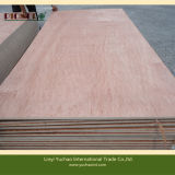 Bintangor Plywood for Dubai UAE Market