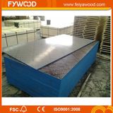 China Plywood Black Color Film Faced Plywood