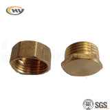 Aluminum Brass Stainless Steel Hex Plug (HY-J-C-0344)