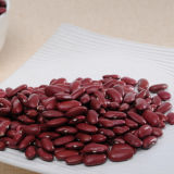 China Organic Dried Big Red Mung Bean