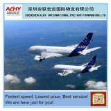 Air Freight/Air Cargo From China to Amsterdam