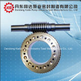 High Torque Worm Gear with Power Transmission