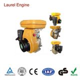 8HP Petrol/Gasoline Engines for Motor