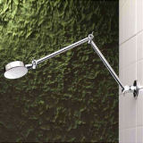 All Directional Shower Head with 2 Arms