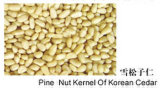 Pine Nut Kernel Of Korean Cedar