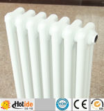 New Design Oval Steel Water-Heated Radiators for House Heating