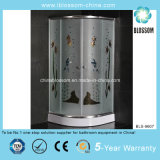 Hot Sale Colorful Acid Glass Shower Room (BLS-9607)