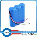 18650 Battery Pack/3.7V 8.8ah Li-ion Battery Pack 2A