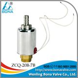 Electrical Steam Iron Solenoid Valves (ZCQ-20B-7B)