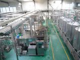 Hot Filling Bottled Beverage Processing Line (1-40TPH)