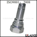 Low Price Hydraulic Pipe Fitting with ISO