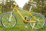 26'' Aluminium Mountain Bicycle/MTB Bicycle (AFT-MB-058)