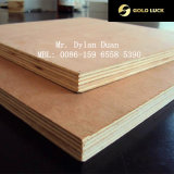 Bb/Cc Bintangor and Okoume Faced Commercial Plywood---Gold Luck