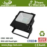 100W Meanwell Driver Garden Lighting LED Flood Lights