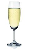 Flute Champagne Glass (LXSN0C011000016)
