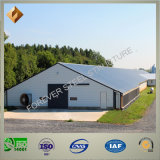 Low-Cost and Advanced Steel Structure Poultry House