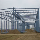Prefabricated Commercial Building Made of Steel Structure (LTX314)