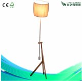 Decoration Modern Wooden Floor Lamp Lighting (LBMD-DDH)